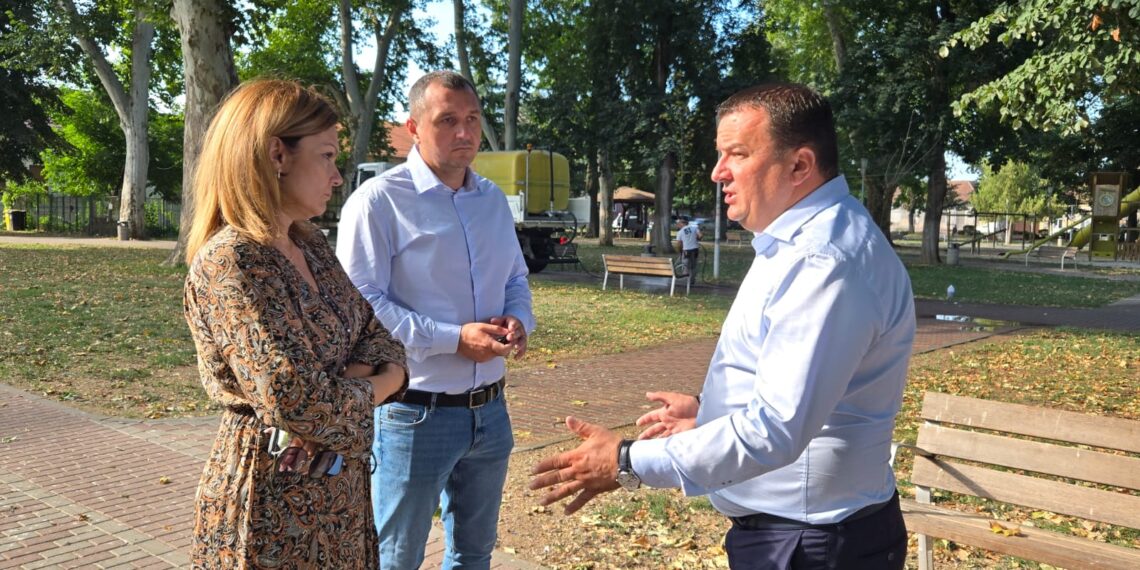 Ciorile și porumbeii fac ravagii în parcurile din Lugoj/Foto