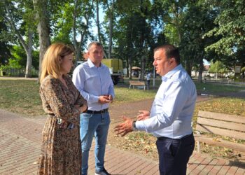 Ciorile și porumbeii fac ravagii în parcurile din Lugoj/Foto