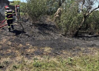 Timiș: ISU anunță 3 incendii de vegetație uscată/Video
