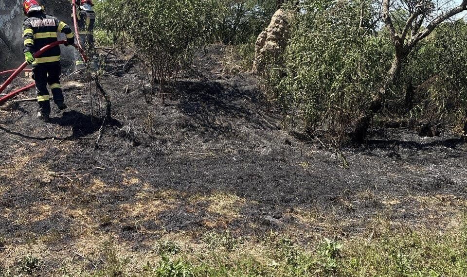 Timiș: ISU anunță 3 incendii de vegetație uscată/Video