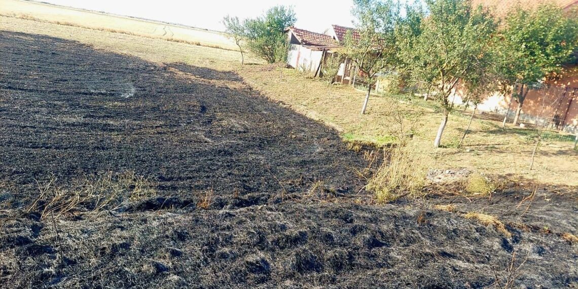 Incendiile de vegetație uscată continuă în județul Timiș. Recomandările pompierilor