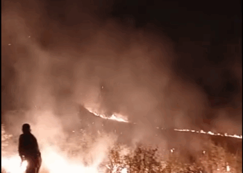 VIDEO. Incendiu în cimitirul din Boldur