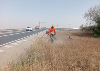 Activități de cosire pe mai multe drumuri