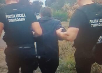 Un bărbat despre care se bănuiește că ar fi incendiat vegetația de pe Strada Taborului, depistat de polițiștii locali