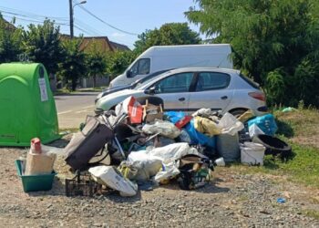Sancțiuni de 480.500 lei aplicate de polițiștii locali celor care nu au respectat legislația privind abandonul și gestionarea deșeurilor – amenzile au fost și de 50.000 de lei