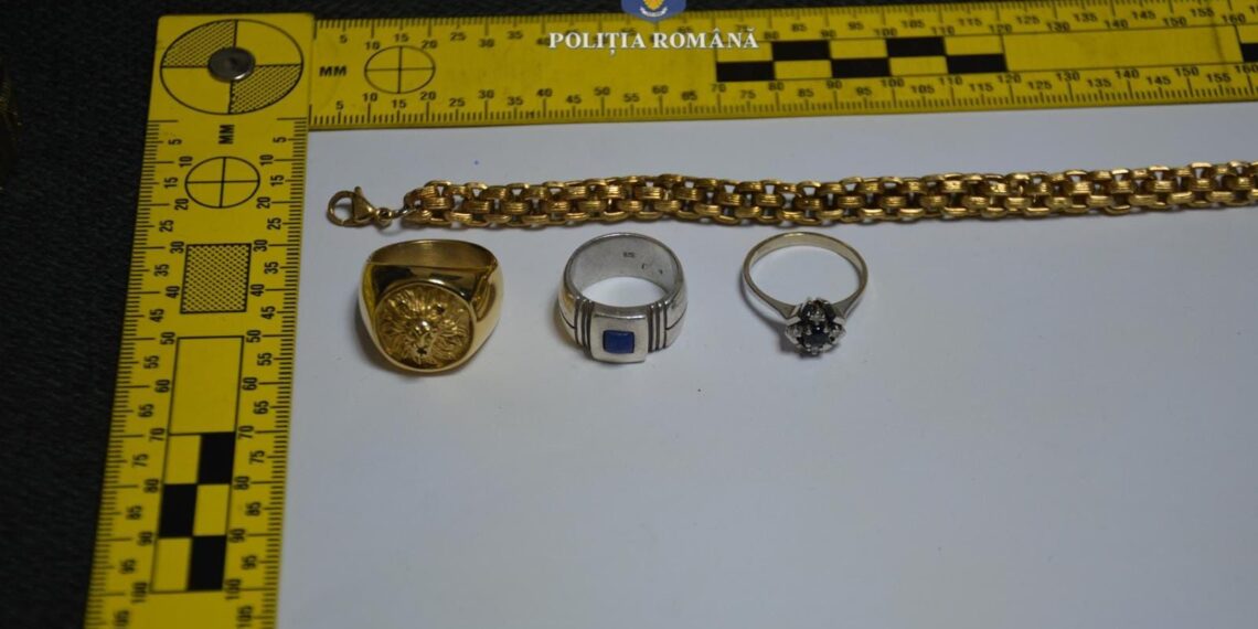 Cinci persoane arestate preventiv pentru furtul a 50.000 de euro, în Timiș/Video