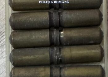 De la haine, la… muniție: ce mai găsești la târgul de vechituri din Făget