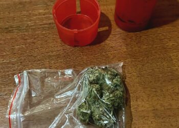 Tânăr depistat în timp ce consuma substanțe interzise în Complexul Studențesc din Timișoara