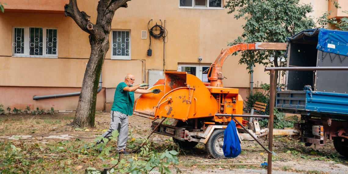 Timișoara: continuă lucrările de întreținere a spațiilor verzi dintre blocuri