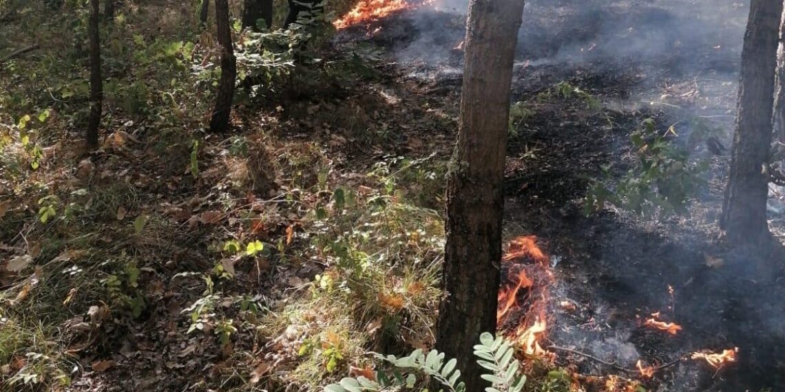 Bilanțul misiunilor pompierilor arădeni în acest sfârșit de săptămână