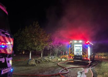 Pompierii intervin la Parța, unde o casă a luat foc