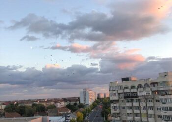 Timișoara: Prezentarea publică a proiectului Magistrala Verde, în 1 octombrie