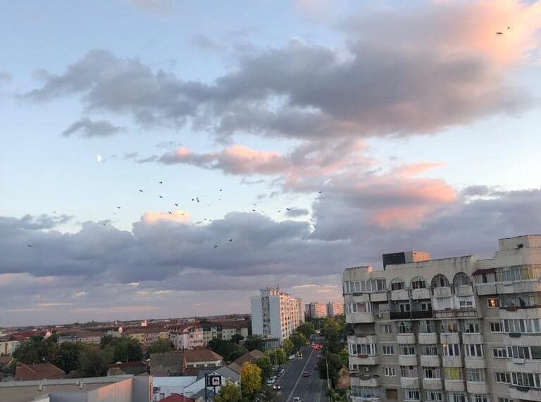 Timișoara: Prezentarea publică a proiectului Magistrala Verde, în 1 octombrie