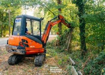 Primăria Timișoara deschide încă o zonă verde degradată către comunitate