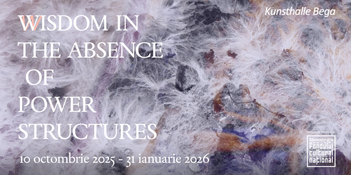 Pasionații de artă, invitați la o expoziție inedită propusă de curatoarea Georgia Țidorescu pentru Kunsthalle Bega