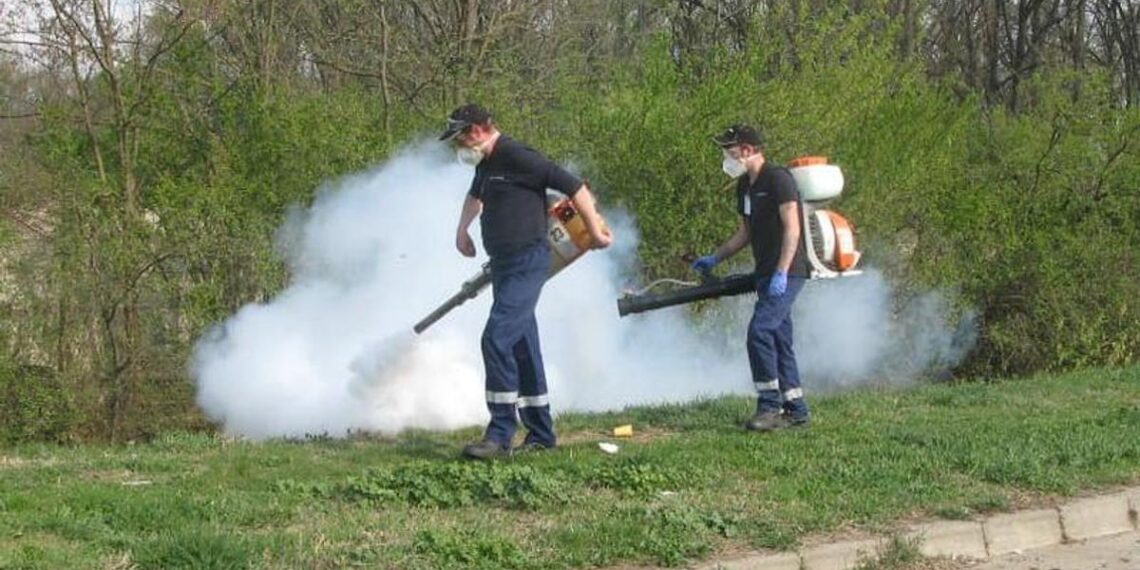 Acțiune de dezinsecție împotriva țânțarilor în luna octombrie