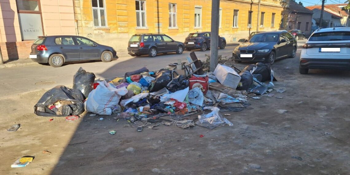 Sancțiuni de 128.000 de lei aplicate de polițiștii locali de la începutul lunii octombrie pentru abandon de deșeuri și incendiere de resturi