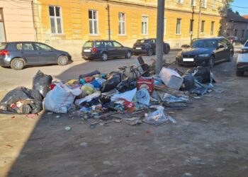 Sancțiuni de 128.000 de lei aplicate de polițiștii locali de la începutul lunii octombrie pentru abandon de deșeuri și incendiere de resturi