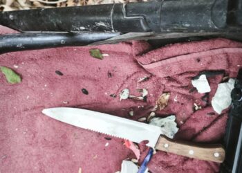 Directorul Liceului Calderon, revoltat pe justiția din Timișoara