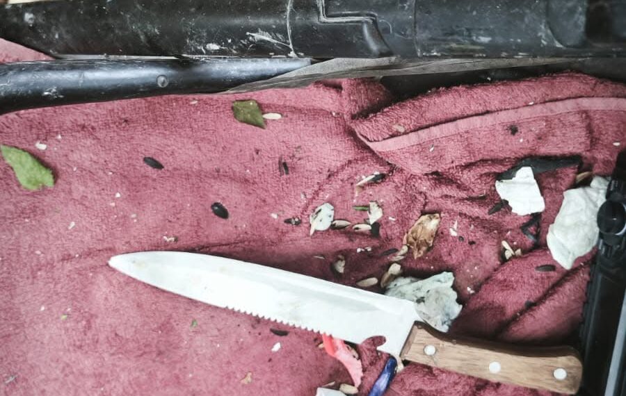 Directorul Liceului Calderon, revoltat pe justiția din Timișoara