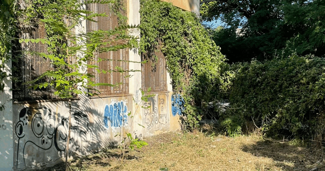 Parteneriat între Primăria Timișoara și Asociația Miltonia pentru reabilitarea a două clădiri ale fostului liceu Mincu