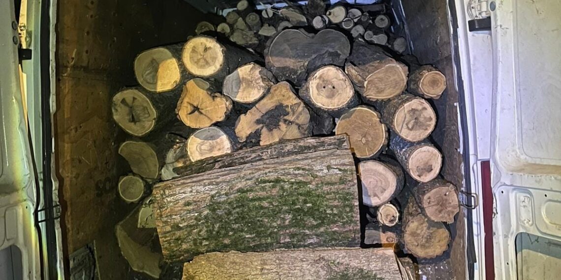 Transport ilegal de lemne, oprit de polițiștii din Recaș