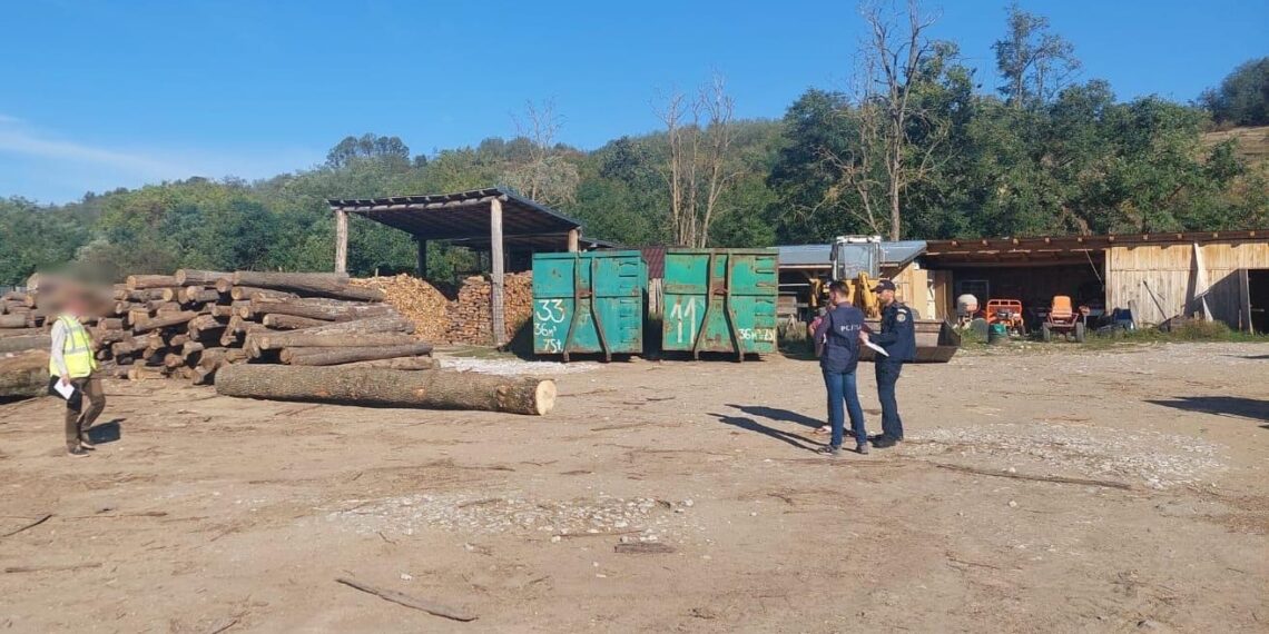 Acțiuni pentru combaterea infracționalității în domeniul silvic