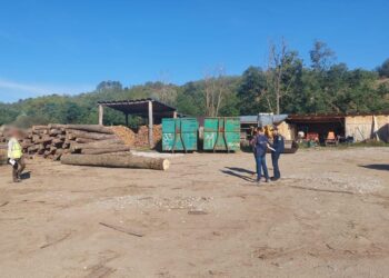 Acțiuni pentru combaterea infracționalității în domeniul silvic