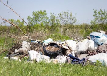 Poliția Locală Timișoara va instala un sistem de supraveghere video în 50 de locații frecvent afectate de abandonul deșeurilor