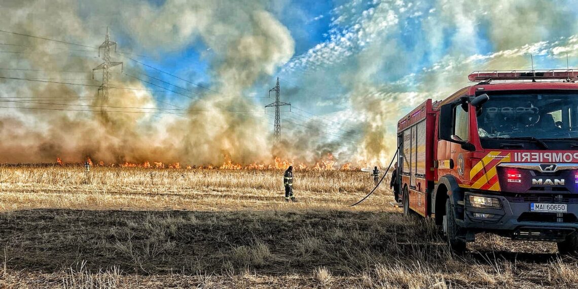 Peste 200 hectare au ars la Orțișoara și alte 20 la Satchinez