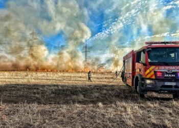 Peste 200 hectare au ars la Orțișoara și alte 20 la Satchinez