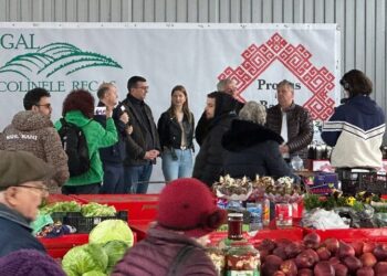 Fonduri Europene – cu acordul vecinilor și al comunității
