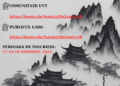 UVT continuă tradiția cursurilor de limba și cultura chineză, deschise publicului larg