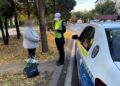 Traversări neregulamentare și neatenție în trafic: 427 de pietoni sancționați în Timiș