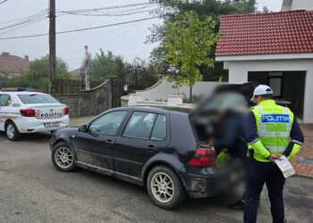 Razie a Poliției Rutiere în Timiș/Foto
