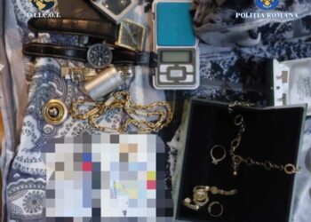 Percheziții în Timiș și Caraș Severin. Este vizat un grup infracțional organizat