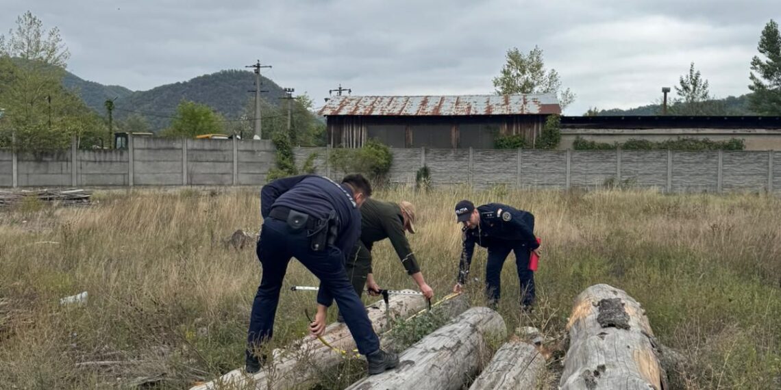Acțiune de prevenire și combatere a ilegalităților în domeniul silvic