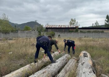 Acțiune de prevenire și combatere a ilegalităților în domeniul silvic
