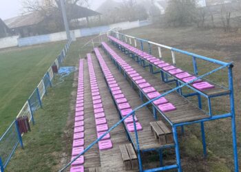 Consiliul Județean Timiș clarifică informațiile legate de demolarea stadionului Dan Păltinișanu