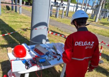 Delgaz Grid a finalizat lucrările de investiţii în localitatea Chizătău, din județul Timiș