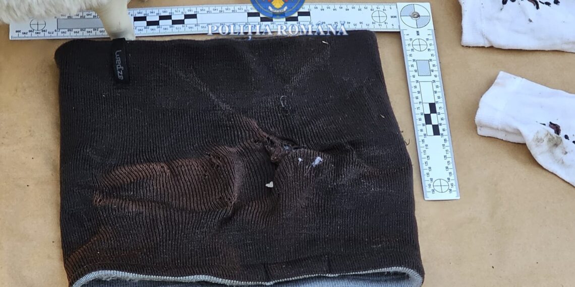 ARESTĂRI ȘI PERCHEZIȚII DUPĂ INCENDIEREA UNUI AUTOTURISM ÎN SATCHINEZ