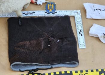 ARESTĂRI ȘI PERCHEZIȚII DUPĂ INCENDIEREA UNUI AUTOTURISM ÎN SATCHINEZ