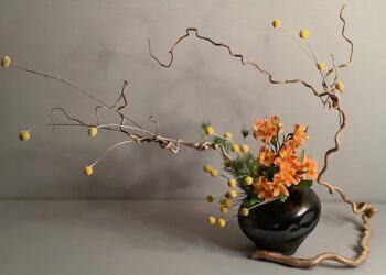 Cursuri de Ikebana în premieră la Universitatea Politehnica Timișoara, prin Centrul Jutsu