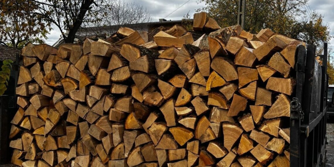 Polițiștii timișeni au confiscat material lemnos transportat ilegal la Orțișoara