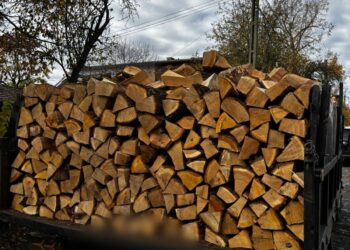 Polițiștii timișeni au confiscat material lemnos transportat ilegal la Orțișoara