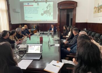 Grup local pentru voluntariat în Lugoj