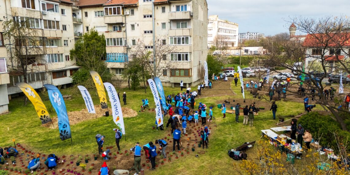 Timișorenii, invitați să planteze o nouă pădure urbană pe Calea Șagului. 6.000 de arbori vor transforma o zonă industrială într-un coridor verde