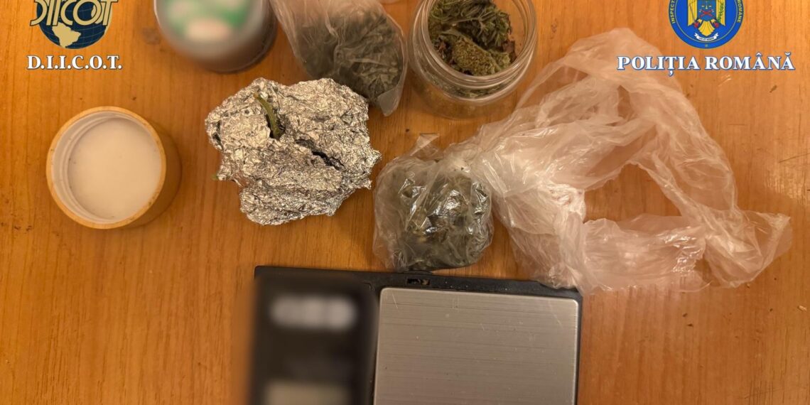 Bărbați cercetați pentru trafic de droguri de mare risc, percheziții în Arad/Video