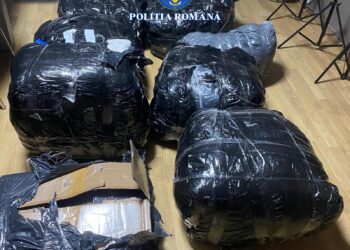 Zeci de bunuri susceptibile a fi contrafăcute, recuperate de polițiști