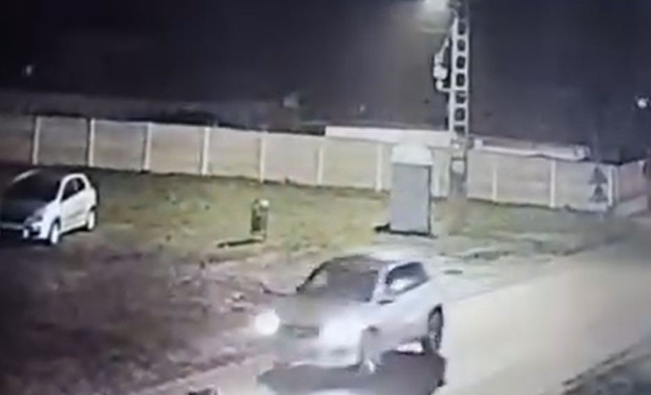 VIDEO. Violență extremă. Câine ucis intenționat de un șofer